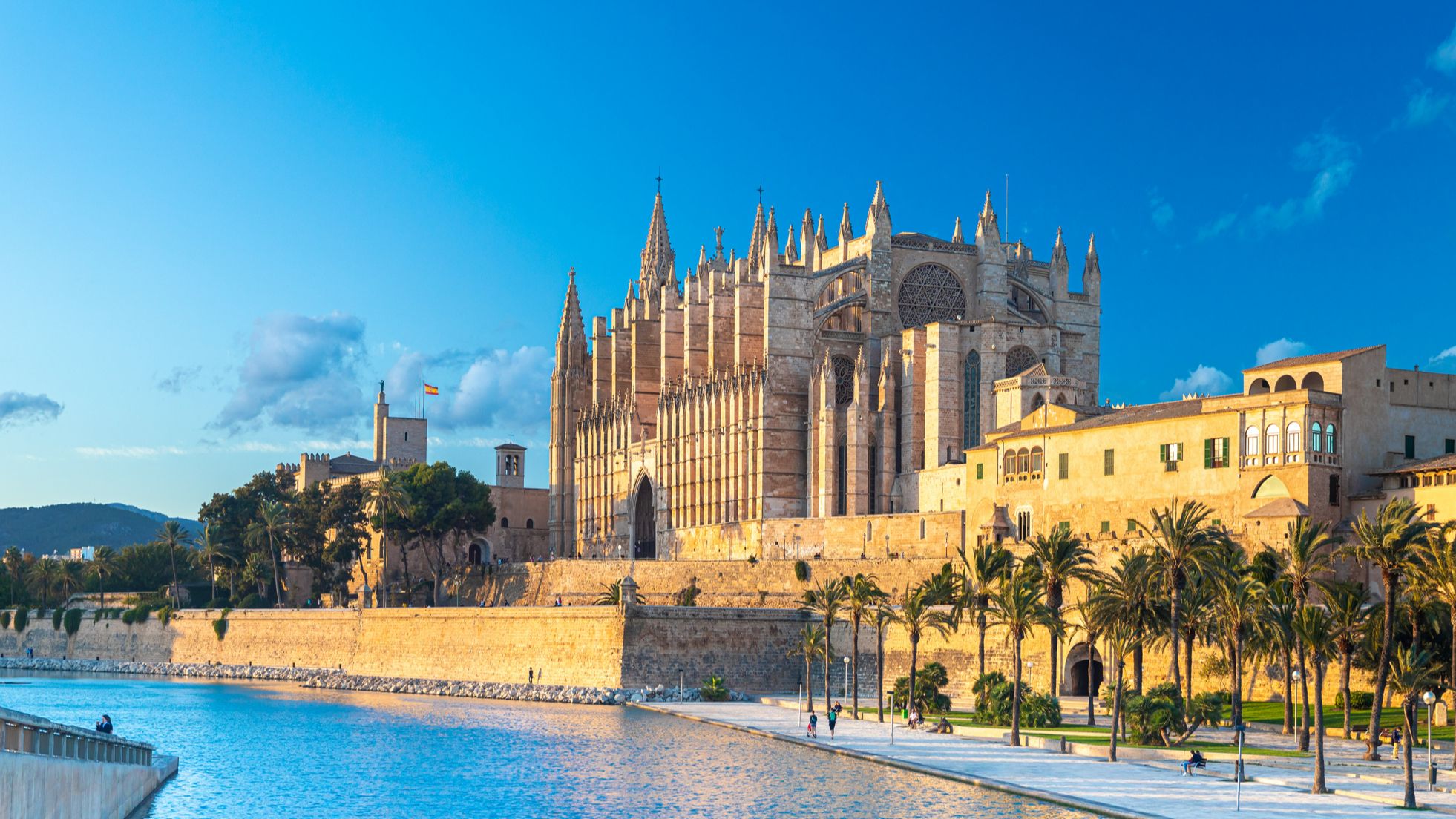 Ofertas de agente comercial de seguros en Palma