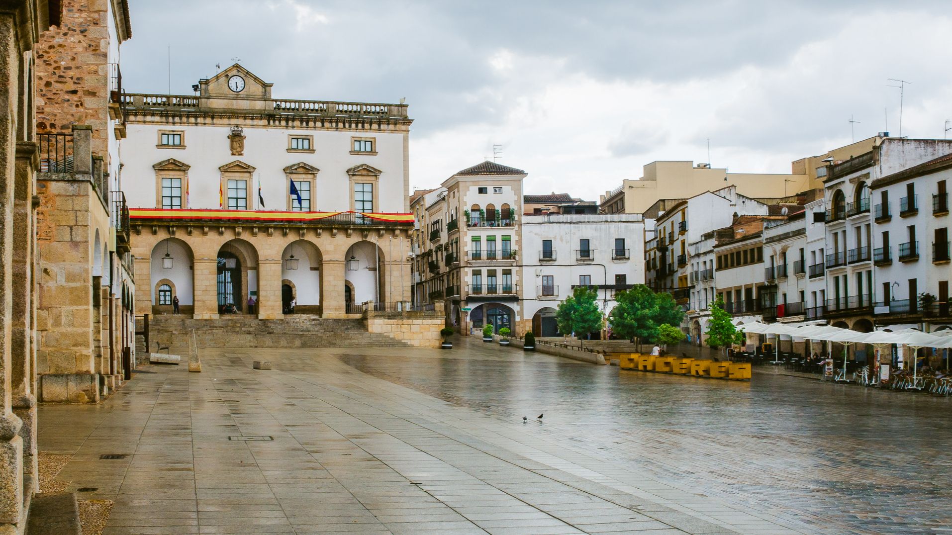Ofertas de agente comercial de seguros en Cáceres